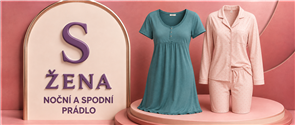 ŽENA S NOČNÍ A SPODNÍ PRÁDLO