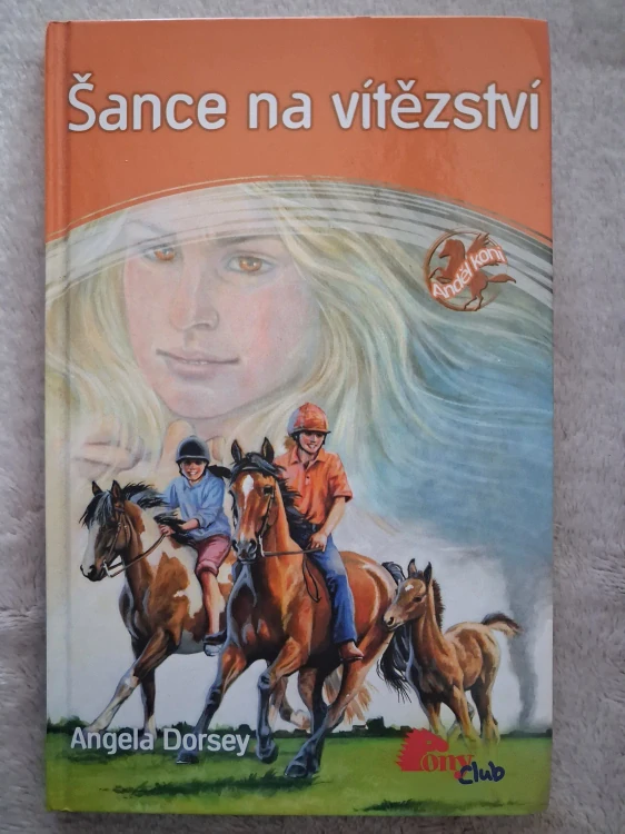 Šance na vítězství