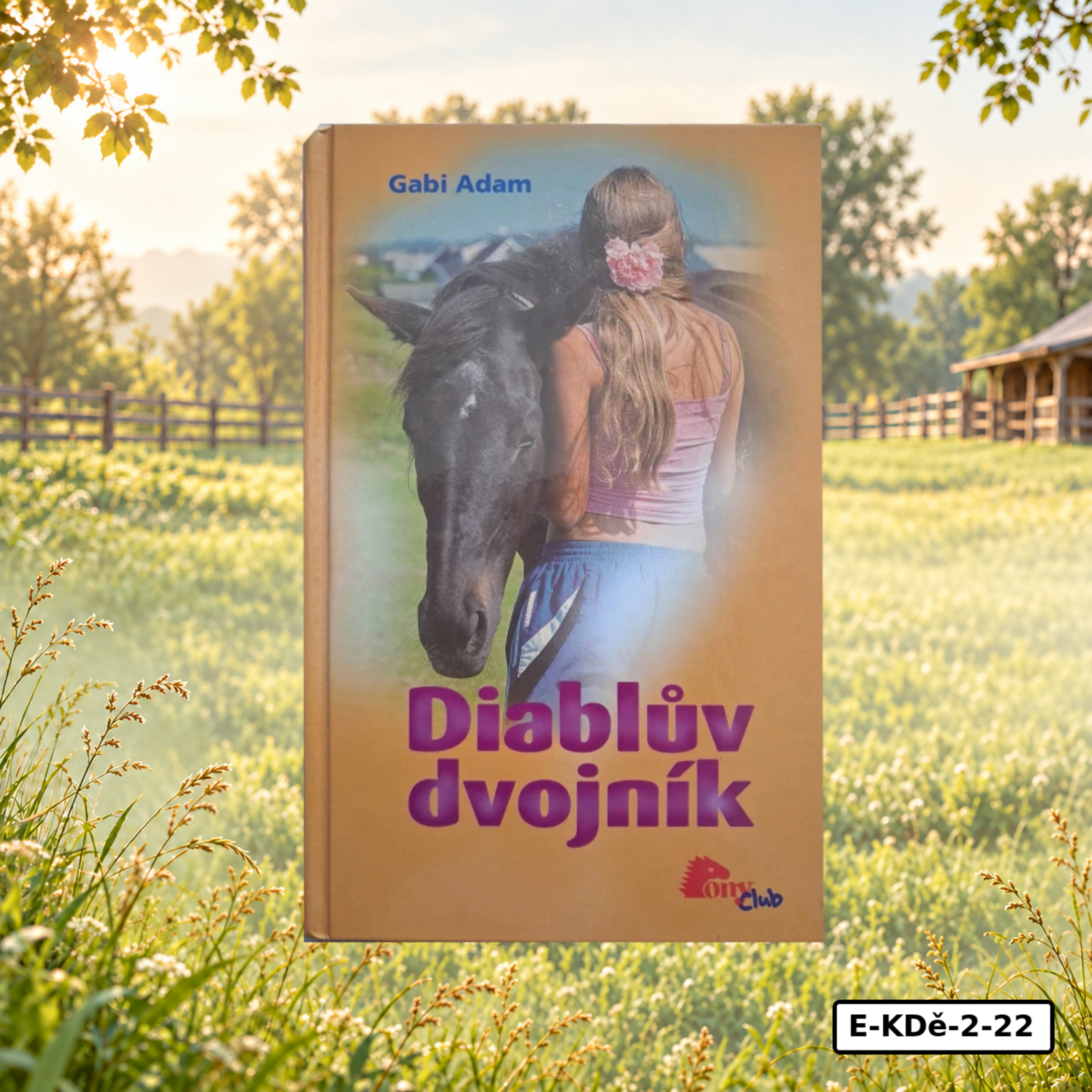 Diablův dvojník