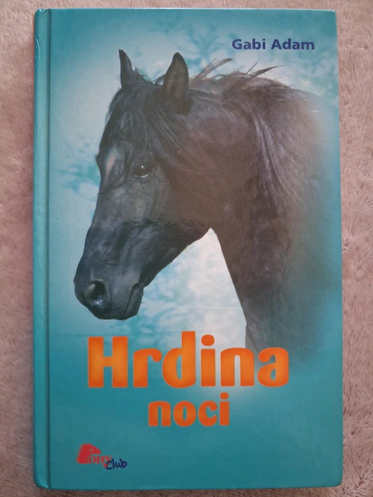 Hrdina noci