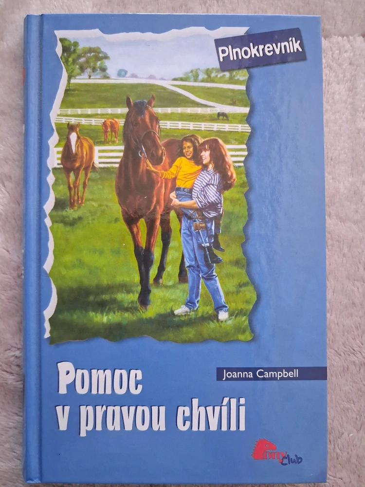 Pomoc v pravou chvíli