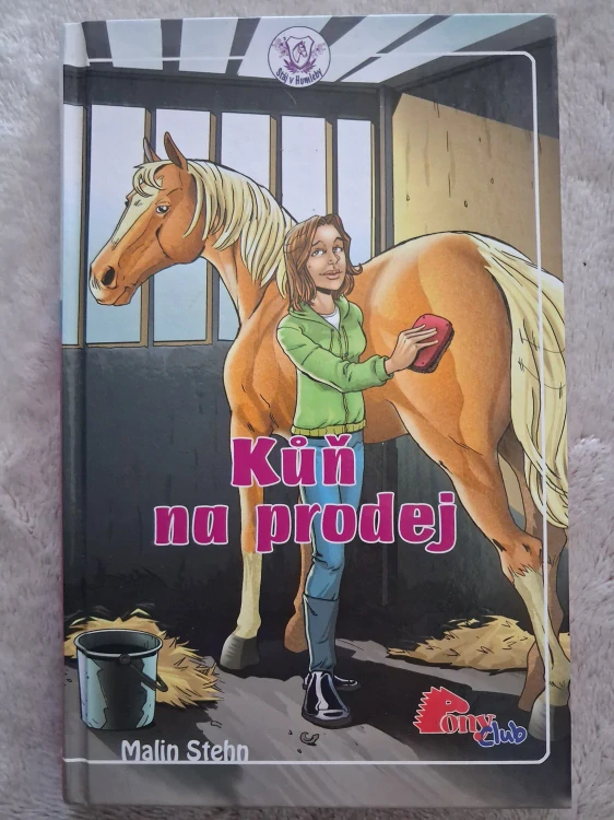 Kůň na prodej