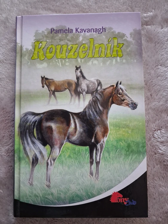 Kouzelník