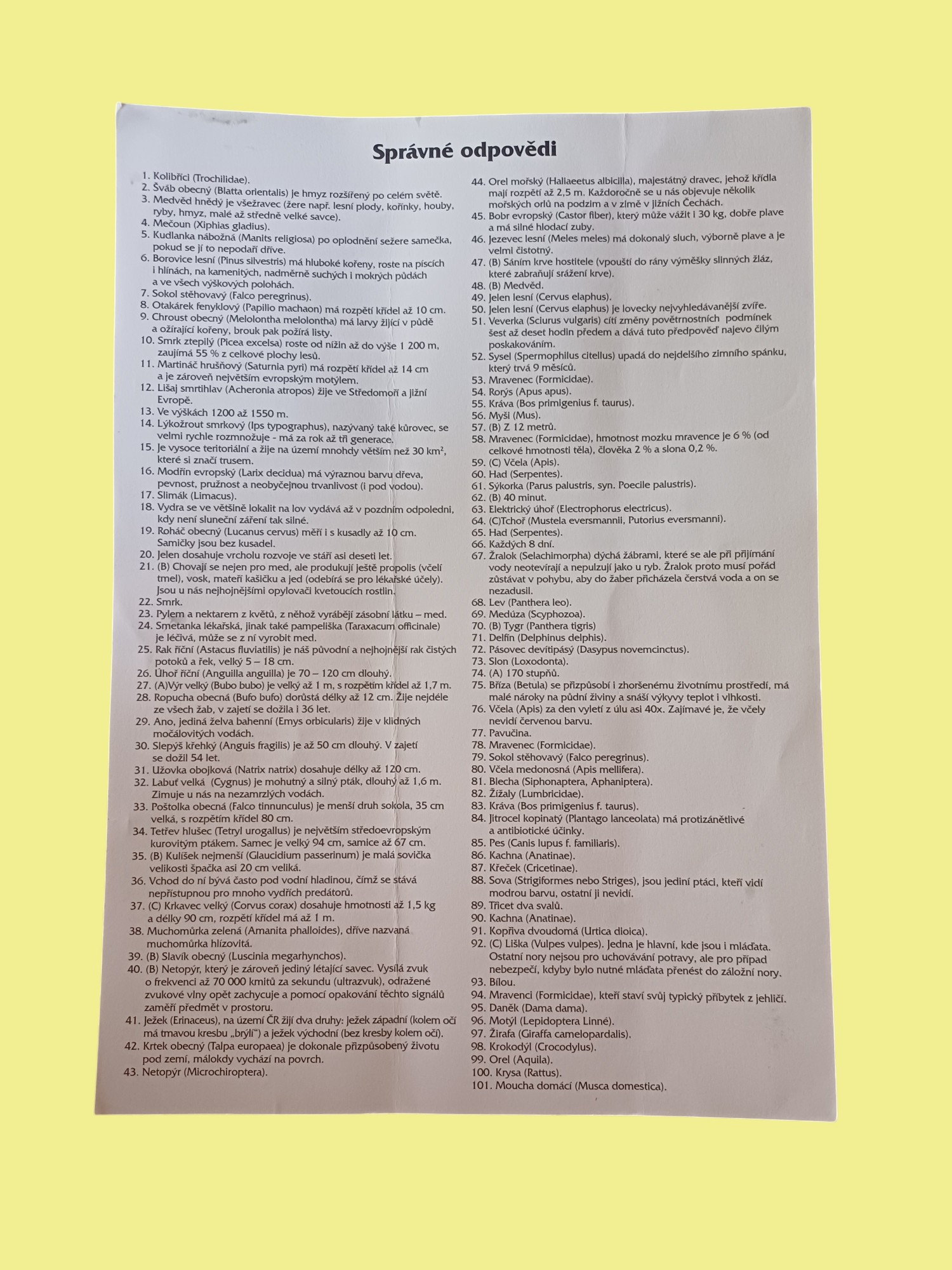 Společenská hra - Cesta za oříškem