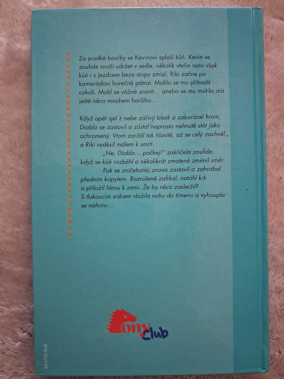 Hrdina noci