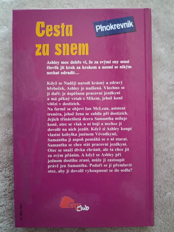 Cesta za snem