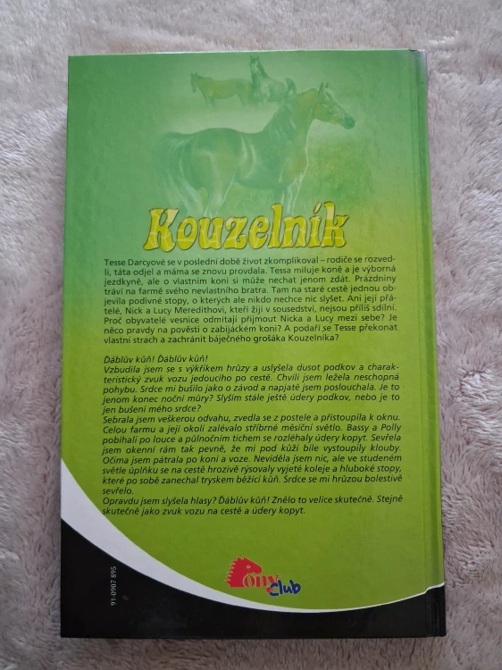 Kouzelník