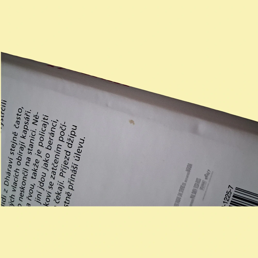 Milionář z chatrče