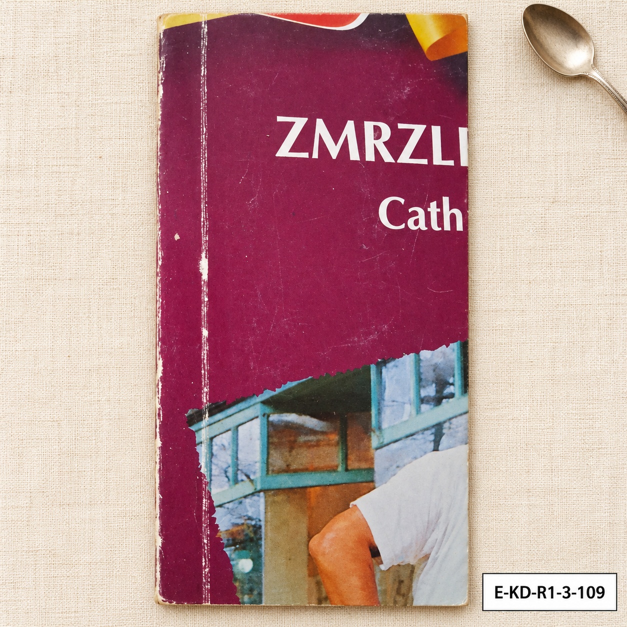 Zmrzlinový sen – Cathie Linzová