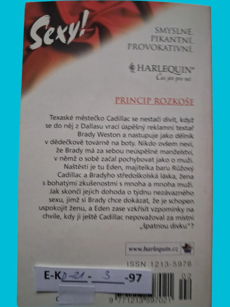 Princip rozkoše