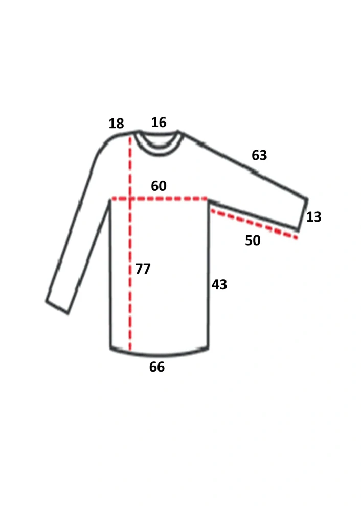 Pánská košile dlouhý rukáv