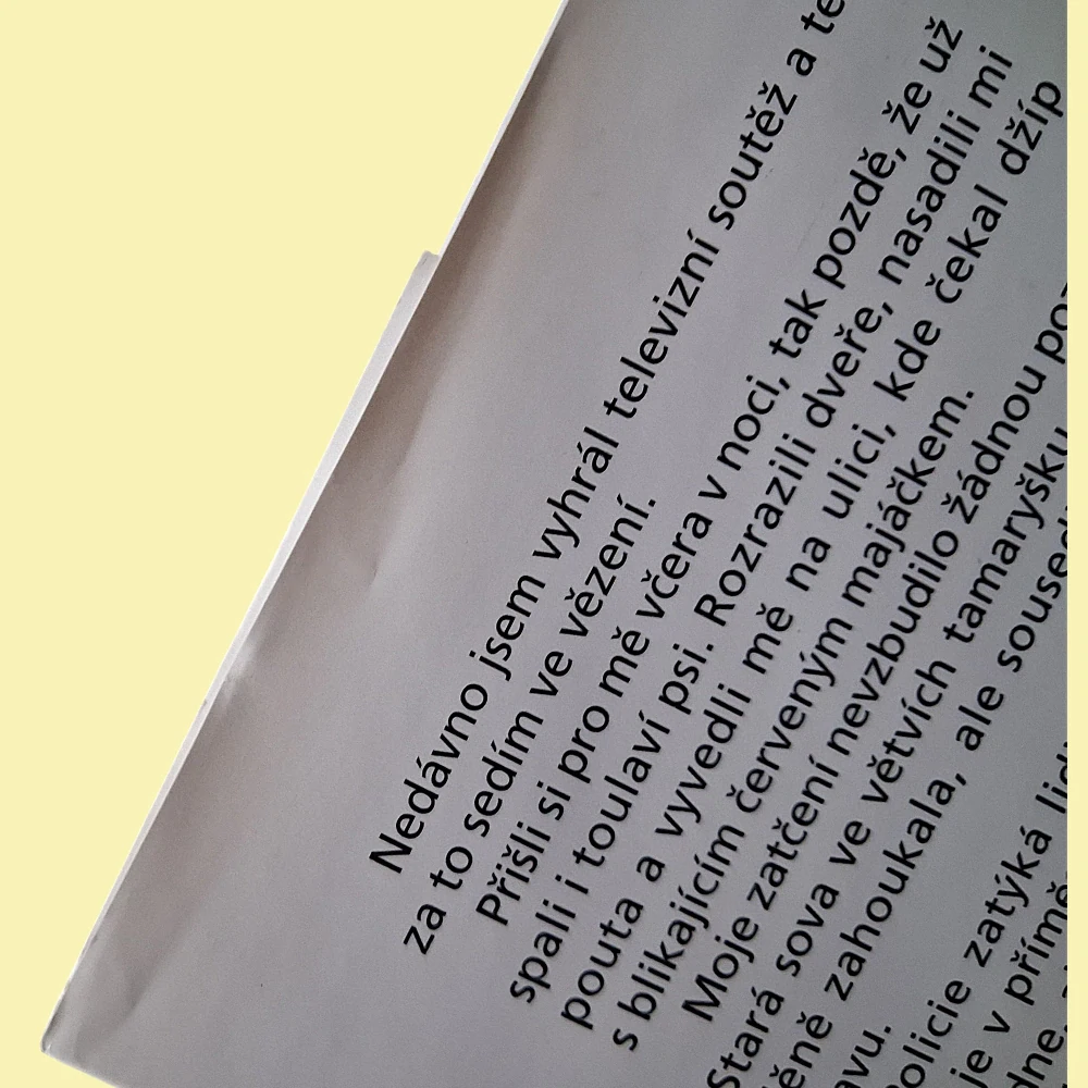 Milionář z chatrče