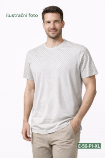 Pánské triko krátký rukáv