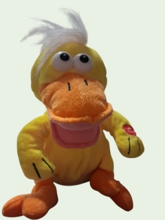 Hrací kachna