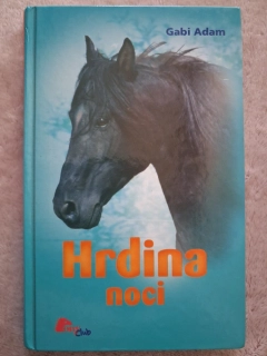Hrdina noci