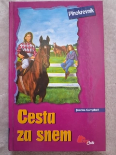 Cesta za snem