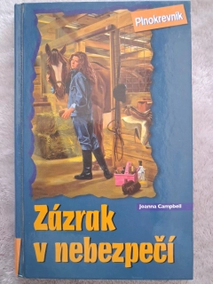 Zázrak v nebezpečí