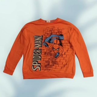 KLučičí mikina