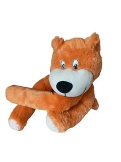 Medvěd dlouhé ruce