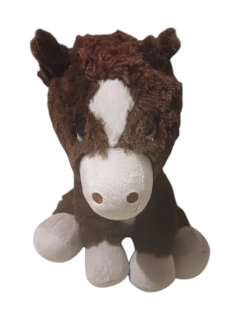 Koník